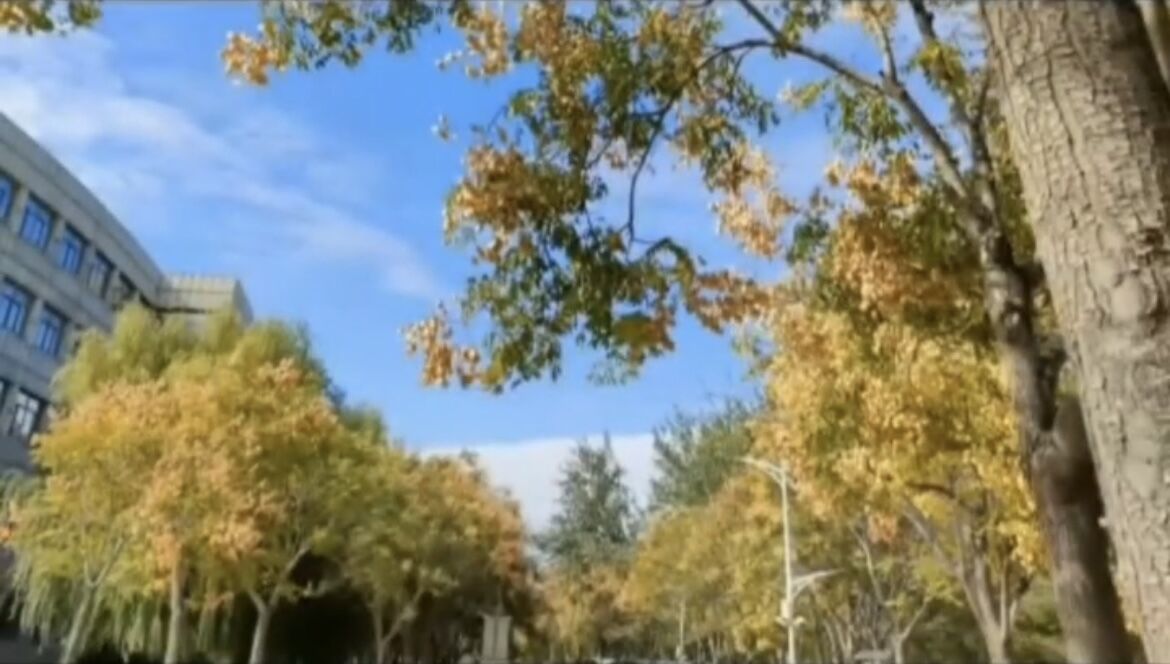 18306