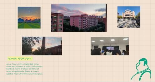 undefined undefined
